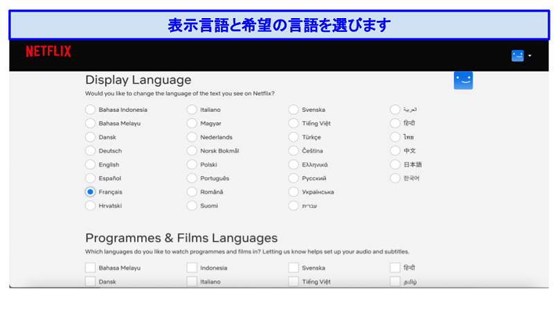Graphic showing Netflix language settings