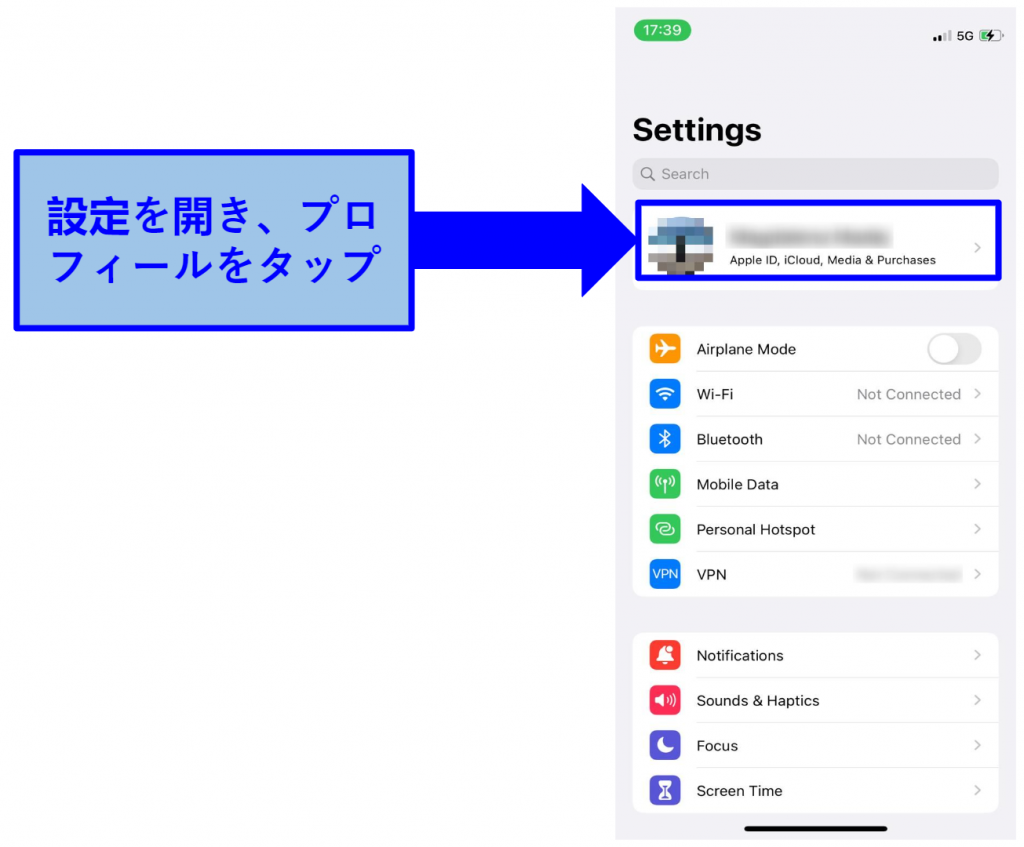 Screenshot of iPhone's Settings app